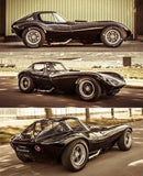 2001 Johnny Lightning Rebel Rods 1964 Chevrolet Cheetah "The Cobra Killer" negro Llantas de Goma y Stickers